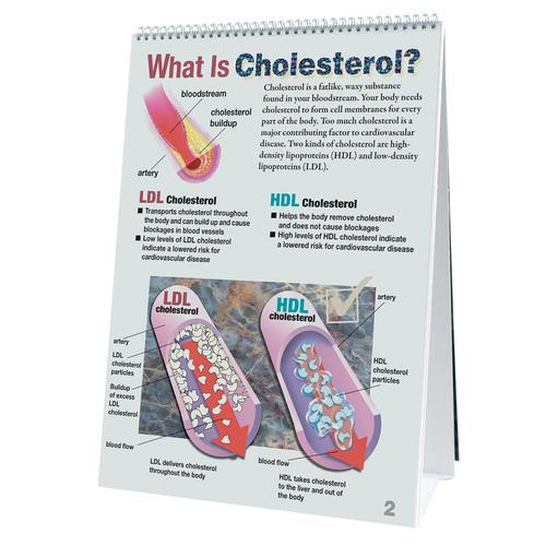 Cholesterol flip chart 3b scientific